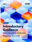 Introductory Guidance to CCM